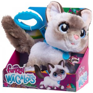 Hasbro furReal Walk-A-Lots Interaktivní kotě Ragdoll 23 cm