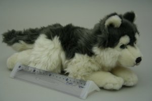 Plyš Husky