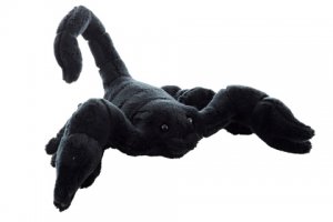 Plyš Štír 25cm