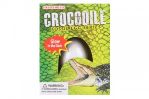 Tesání vejce krokodýl svítící